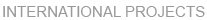 INTERNATIONAL PROJETS